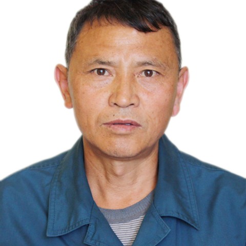 兮颜演变迷人的照片