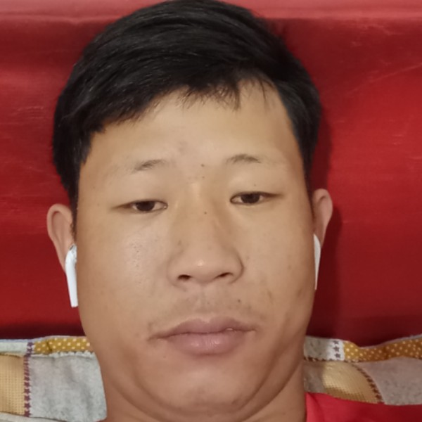 小猫咪有单纯的照片