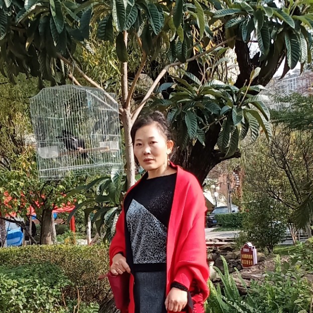 路灯踢谁的照片