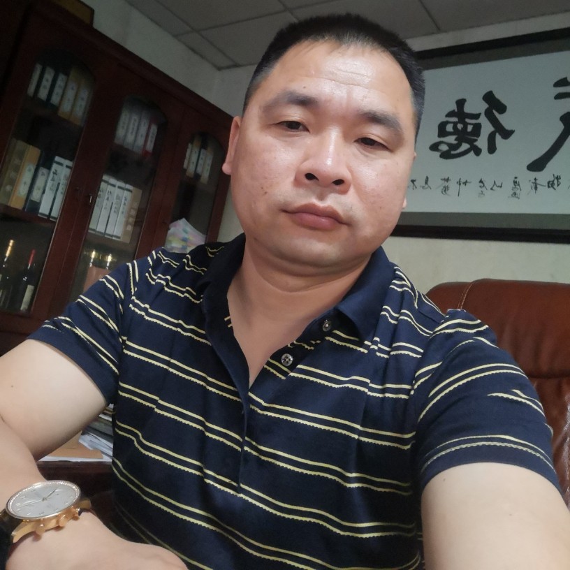 阳光下的来客的照片