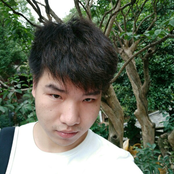 爱的步伐的照片