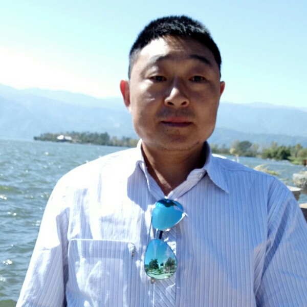 勤奋多么树叶的照片