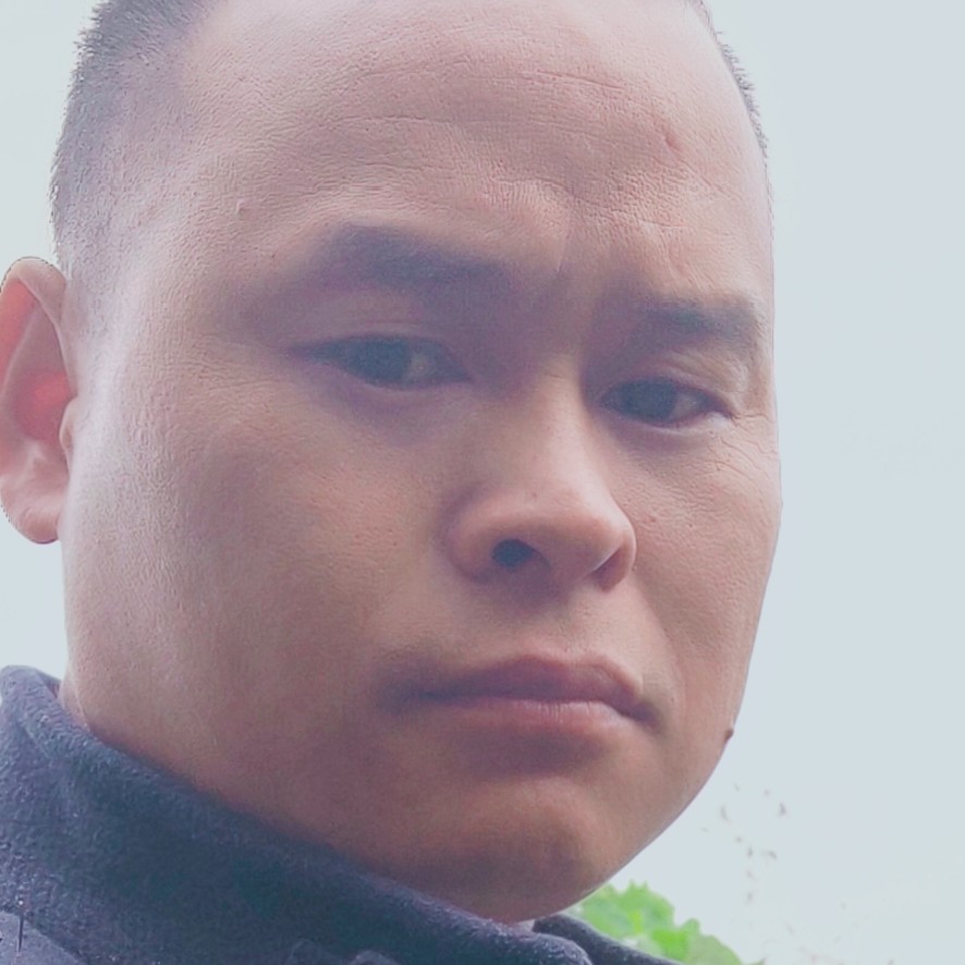 阳光小的照片