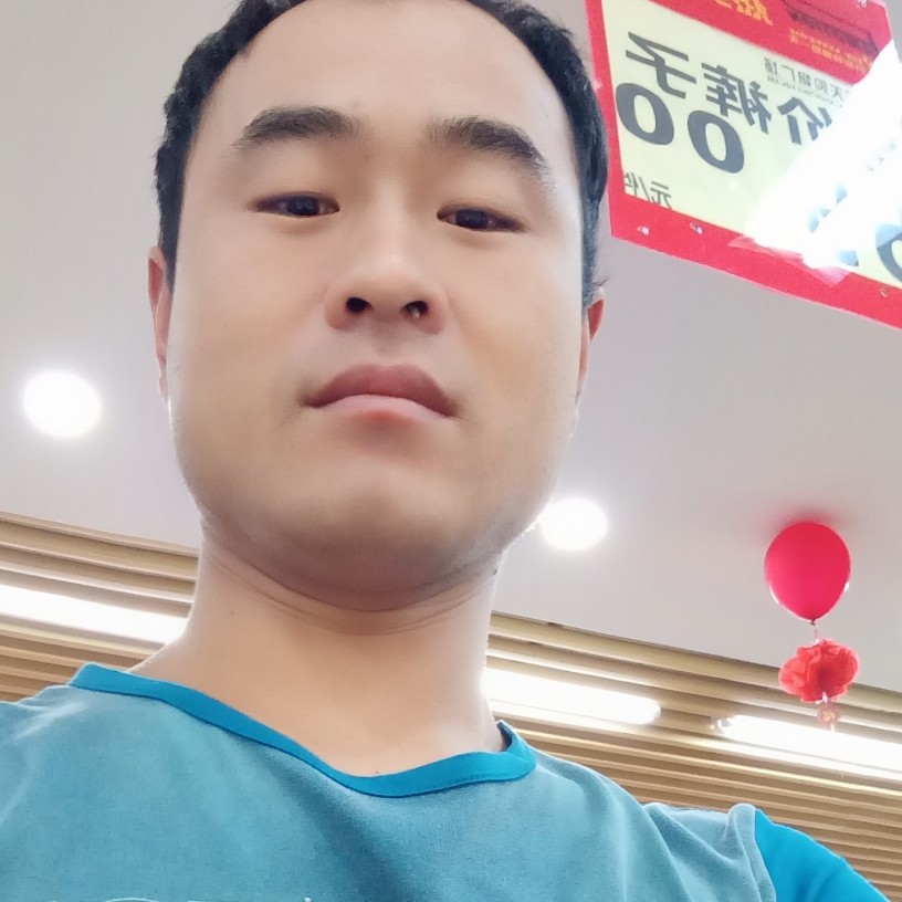 安详南鸢的照片