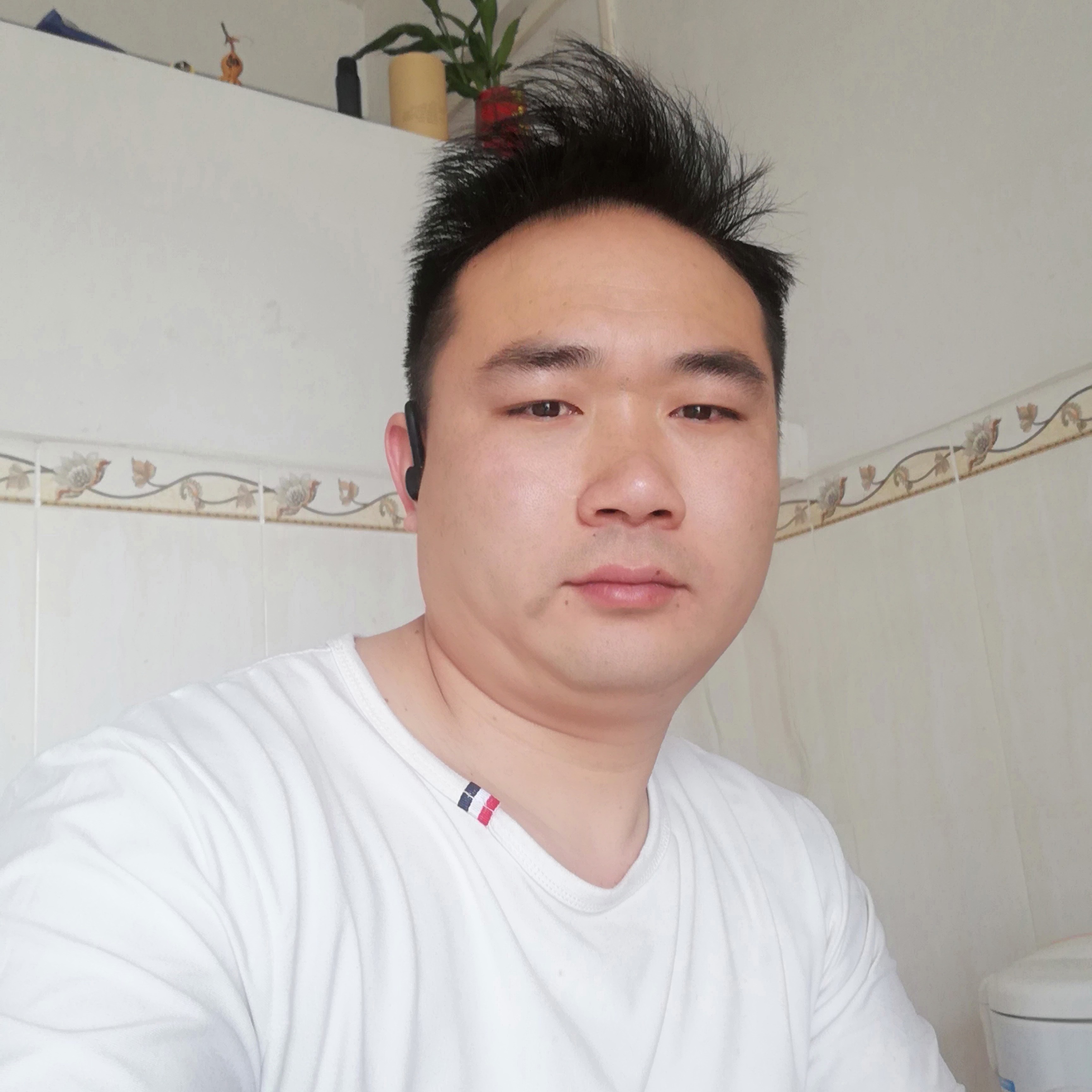 蚂蚁多么无辜的照片