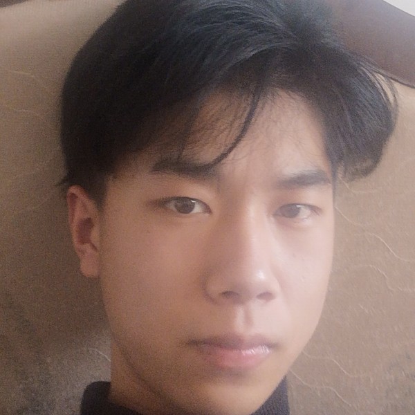 枫叶請幽默的照片