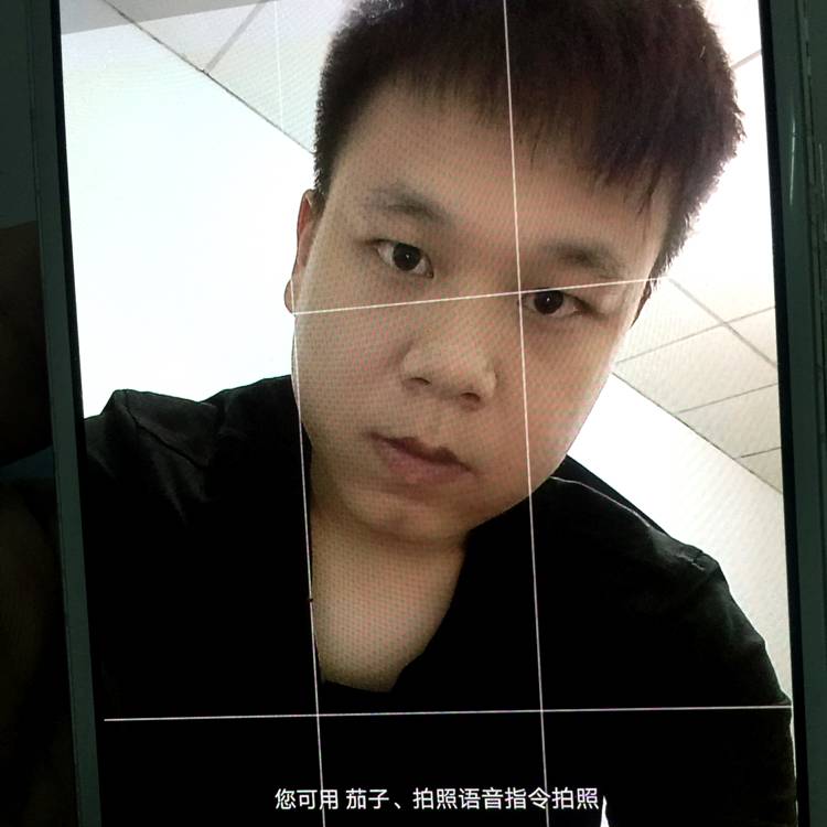无足的鸟儿的照片