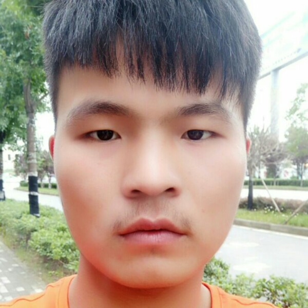 锦绣前程似锦的照片