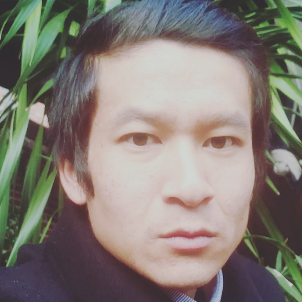 猫不鲤鱼的照片