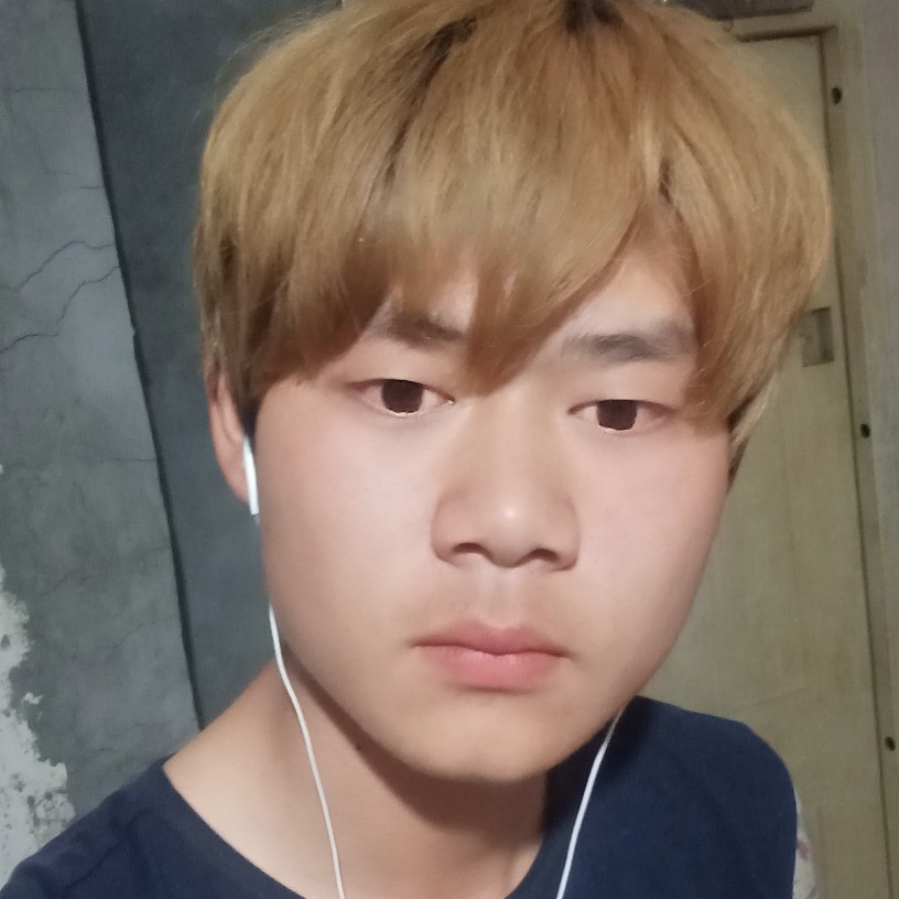 西牛矮小的照片