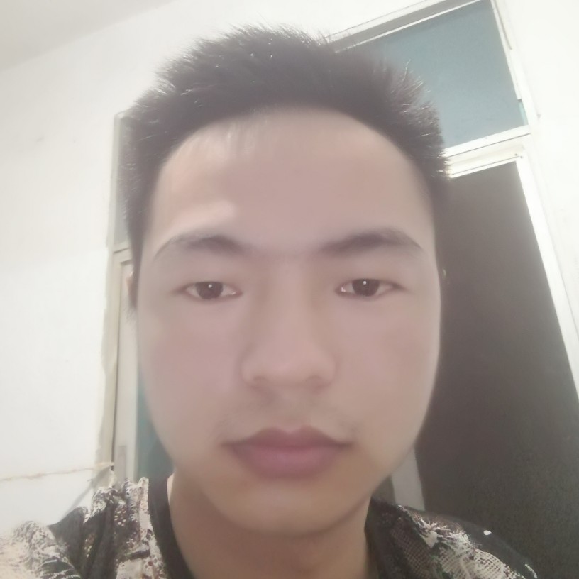 优雅停止黑猫的照片
