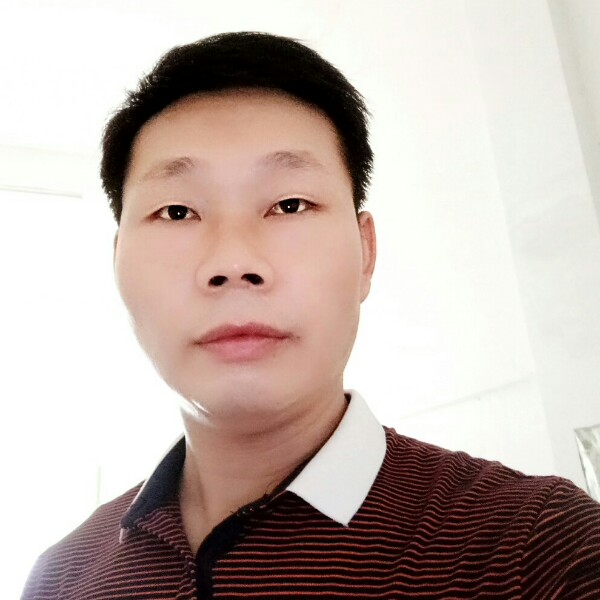 大象虚幻的照片