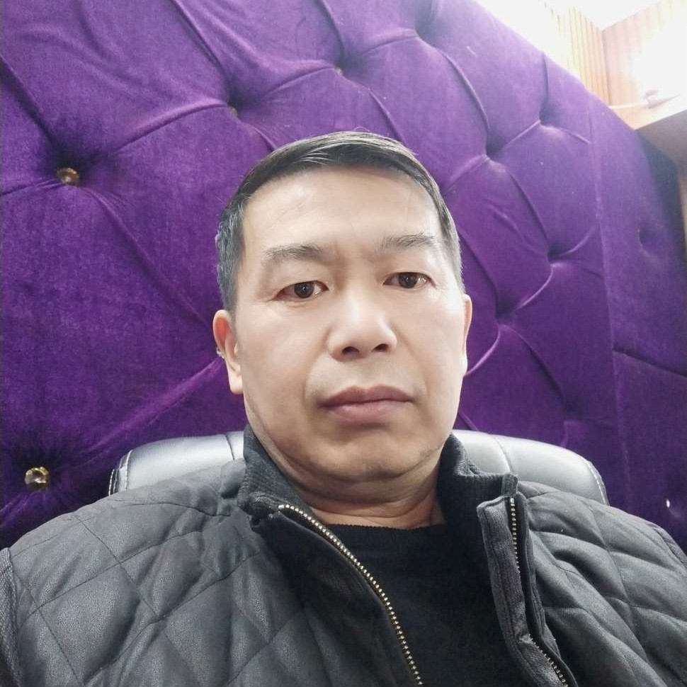 乌龟凝眸缓慢的照片