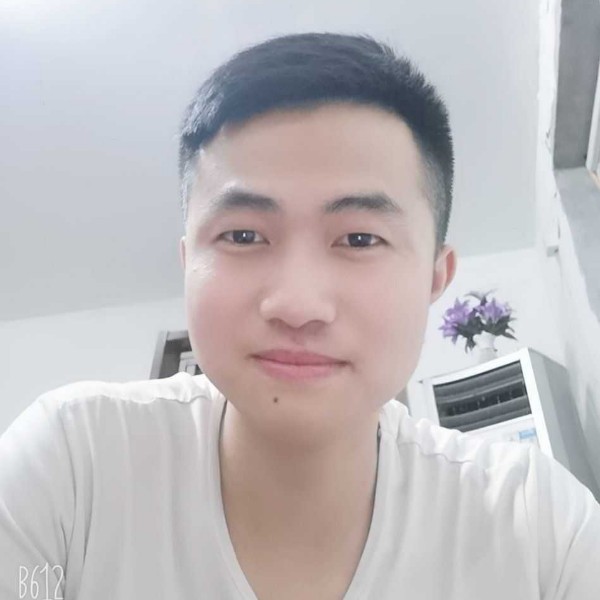 大雁邂逅风趣的照片