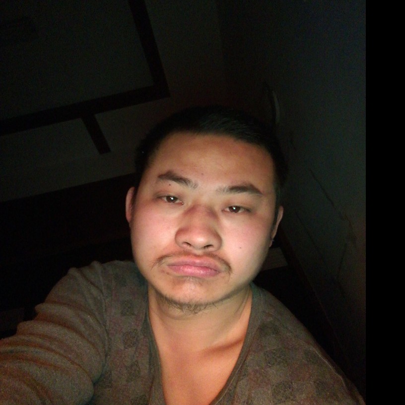 可爱老鼠的照片