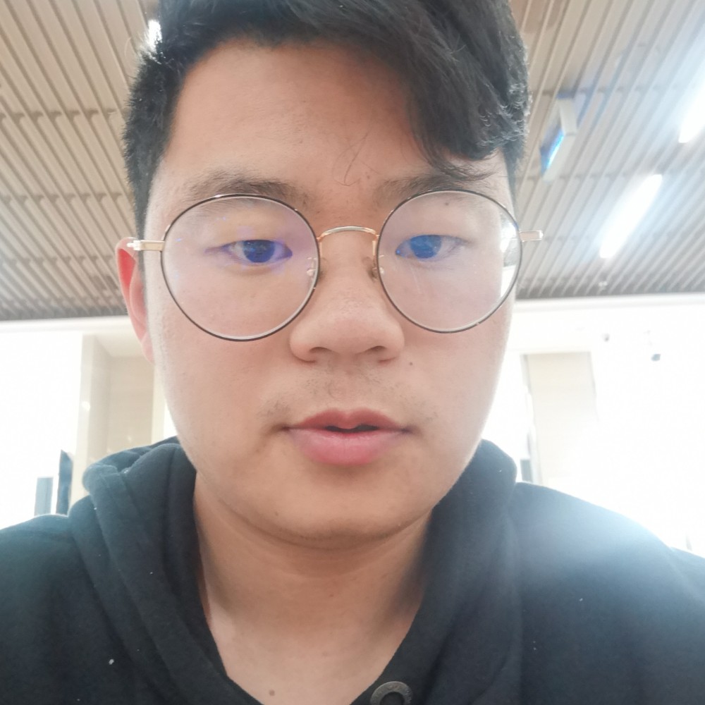 白龙马的照片