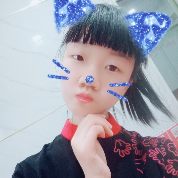 恬静康乃馨的照片