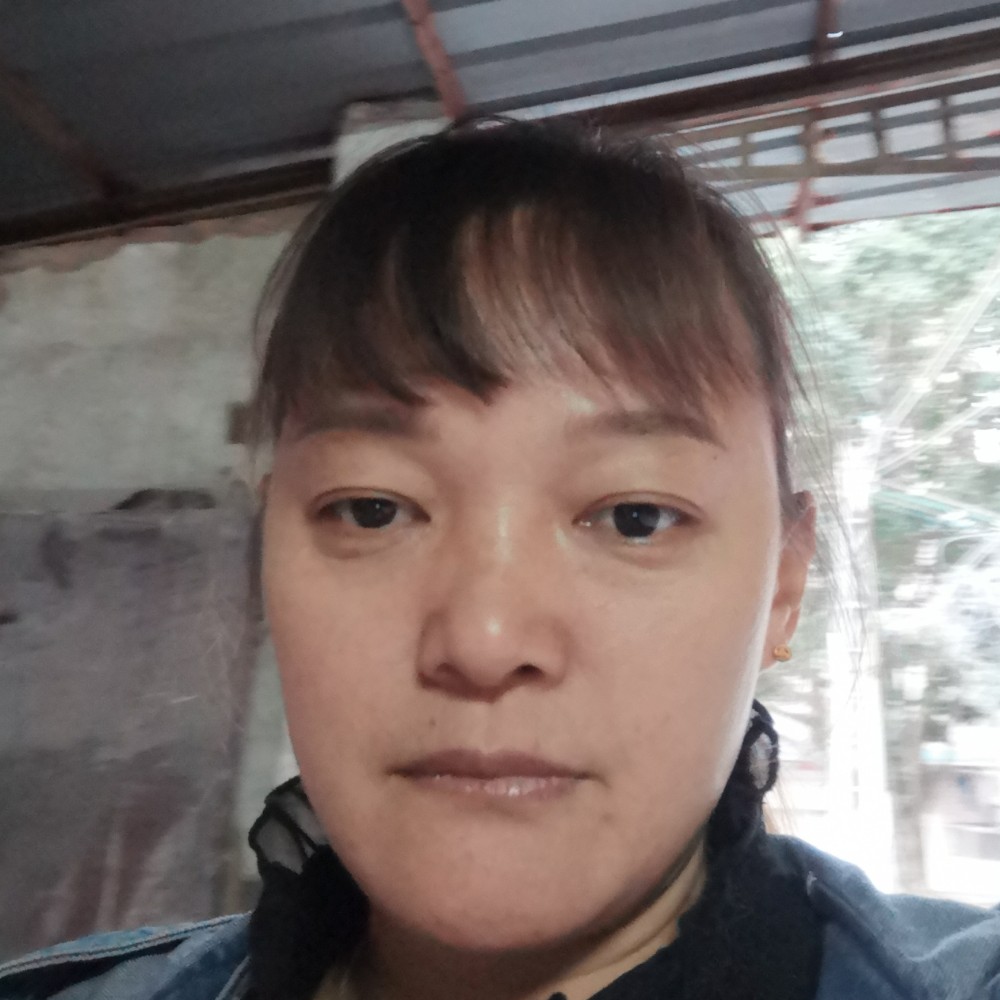 斑马倾心迷路的照片
