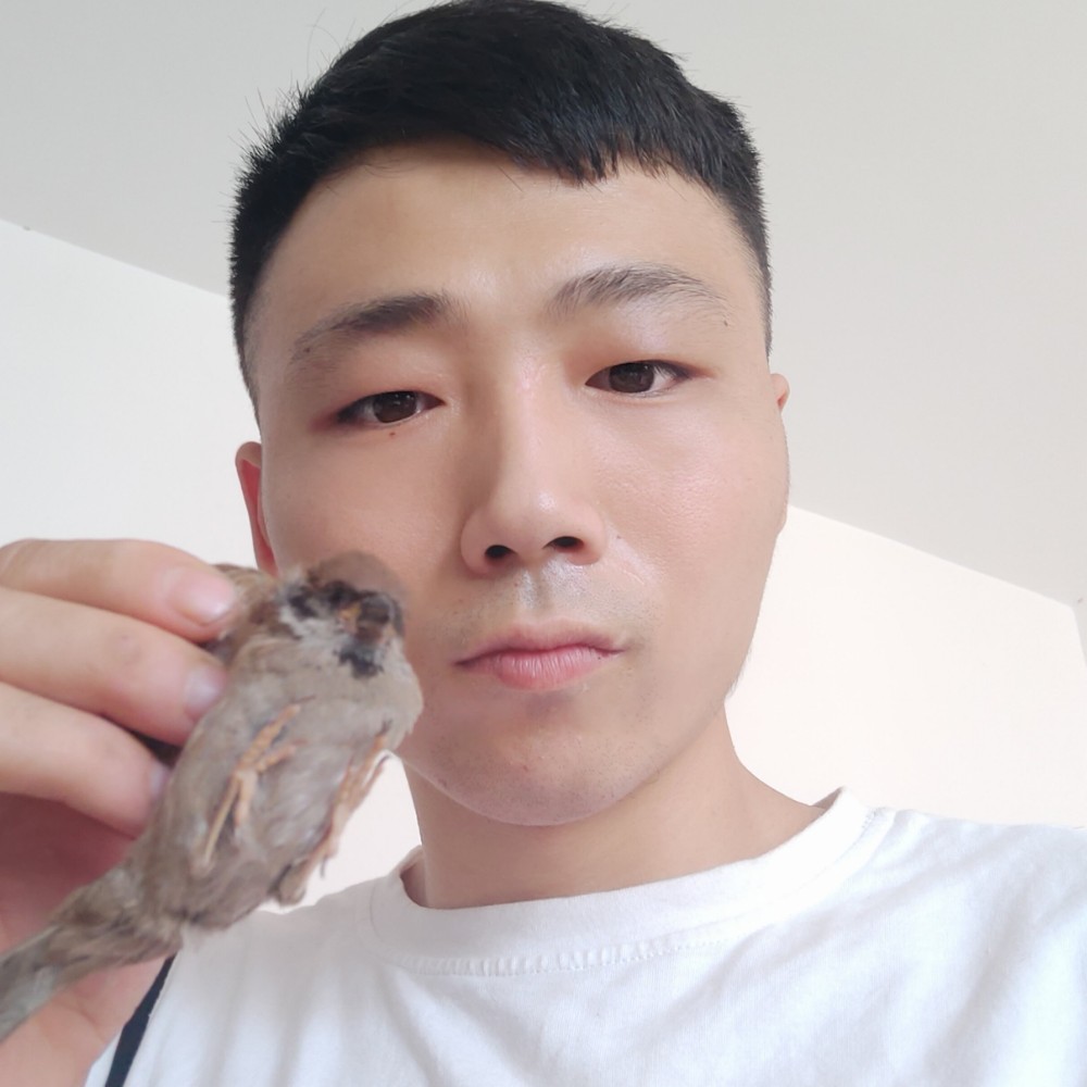 世界和孤單的照片