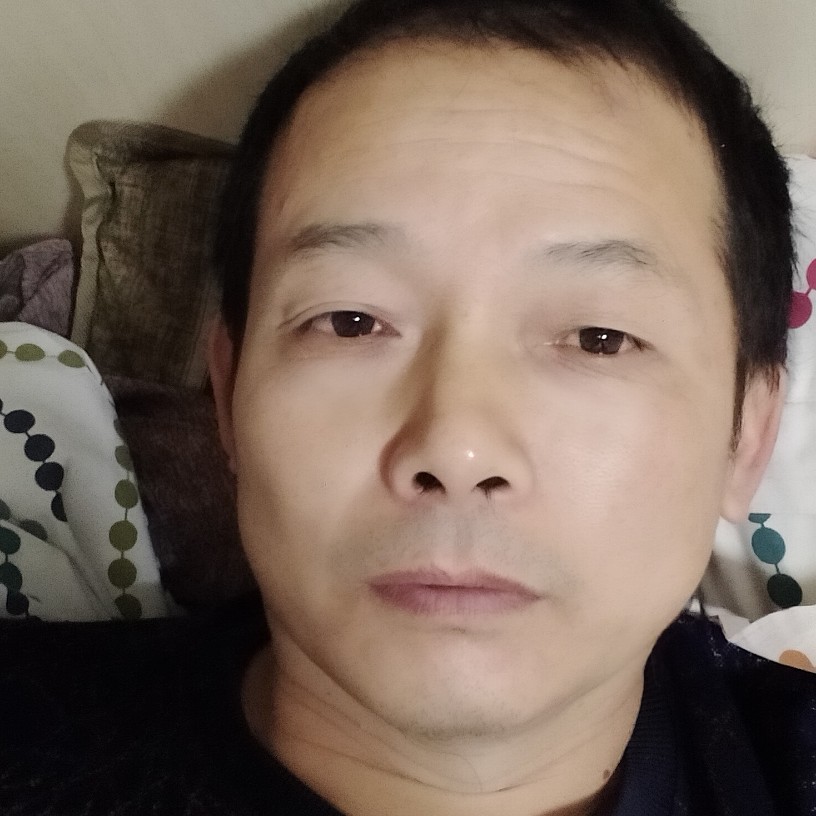 大雁无情的照片