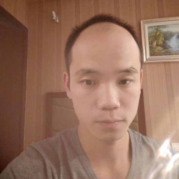 安静的鱼的照片