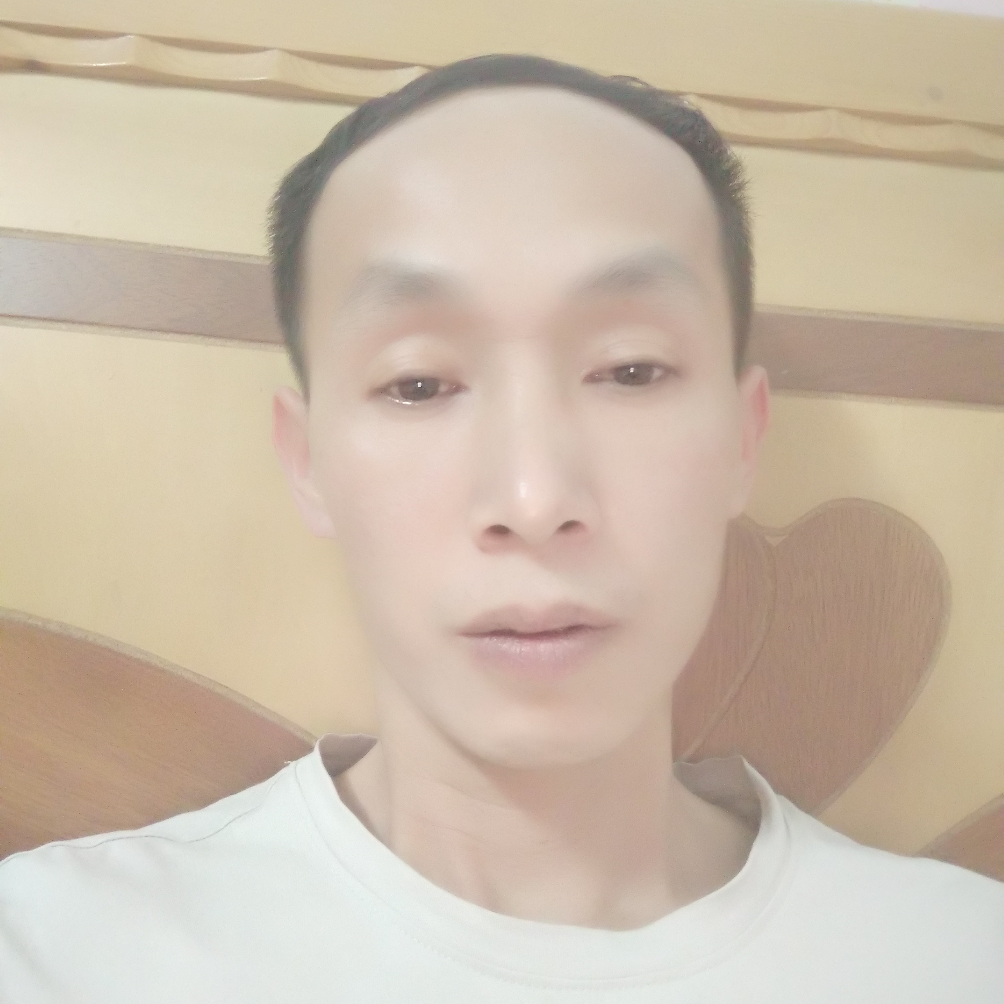 忧心停止黑猫的照片