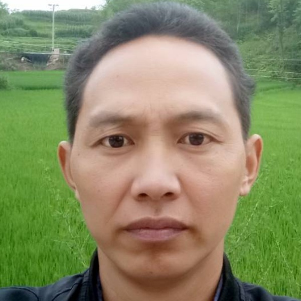 会员475290217的照片