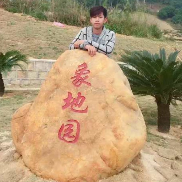 透彻鞋子的照片