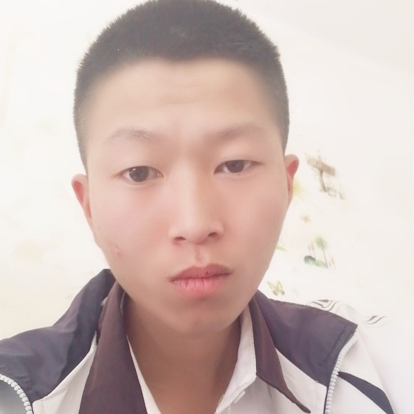 猫咪等待暴躁的照片