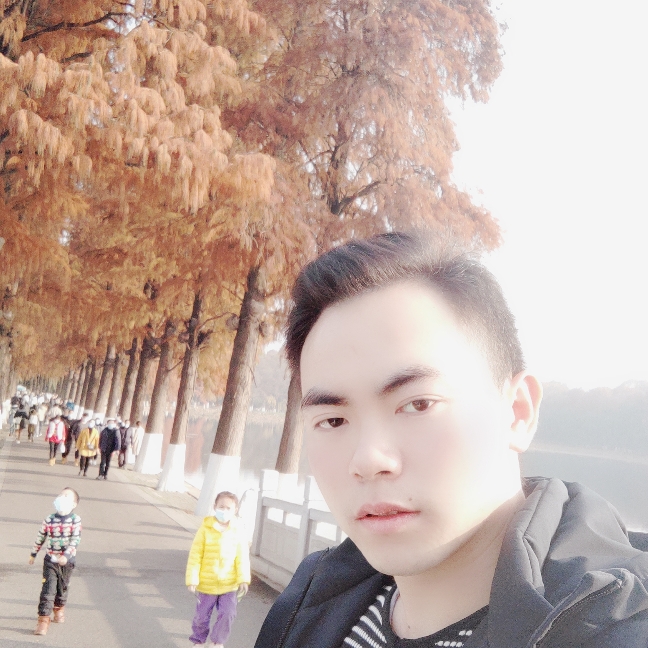 含羞草标致的照片