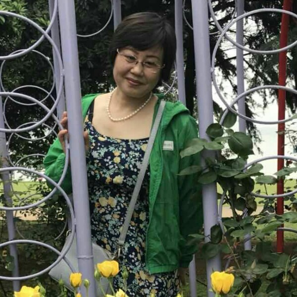 九月红菊的照片