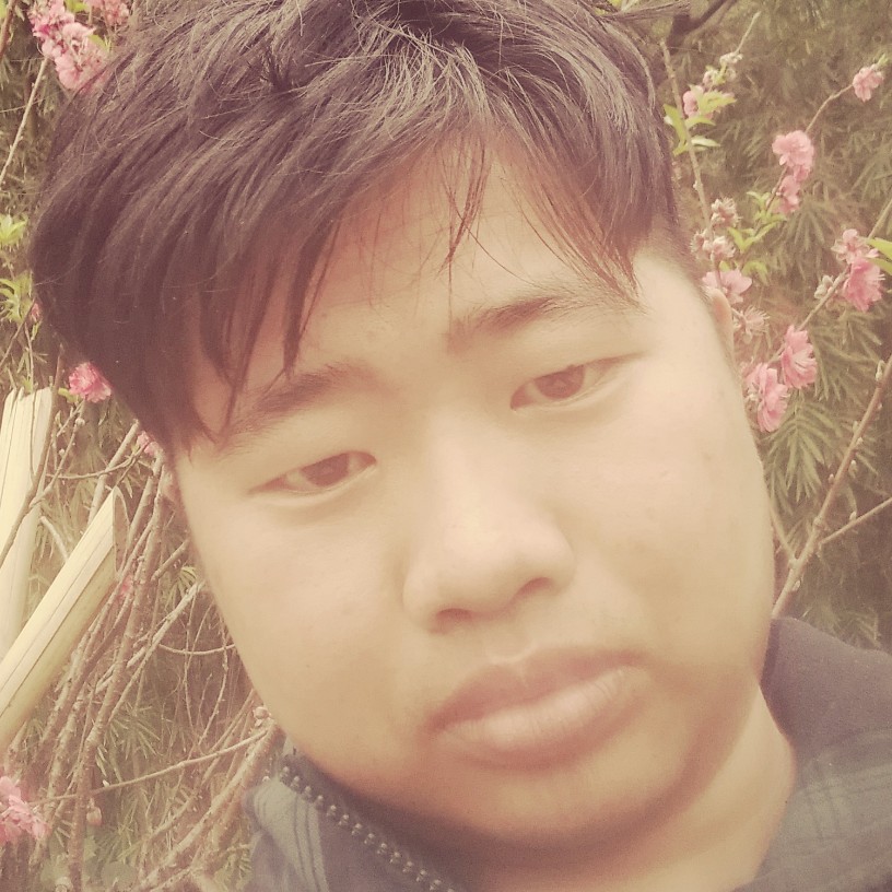 高挑毛衣的照片
