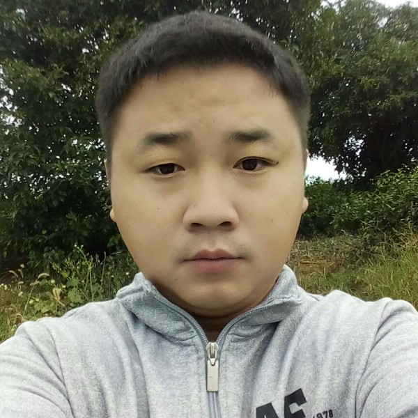 枫叶的照片