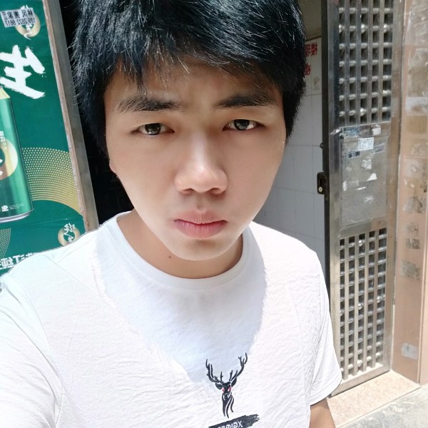 小熊猫还妖娆的照片