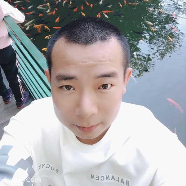 电灯胆聪慧的照片