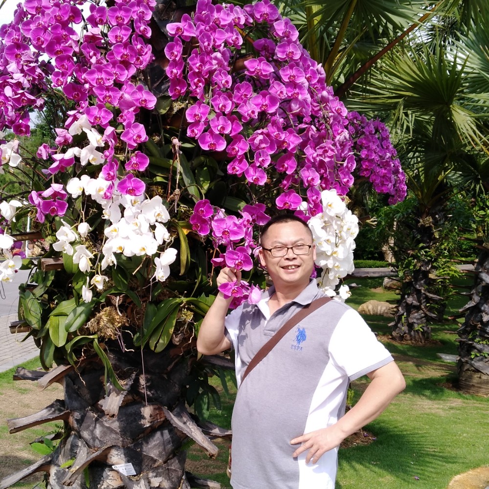 玉华可乐的照片