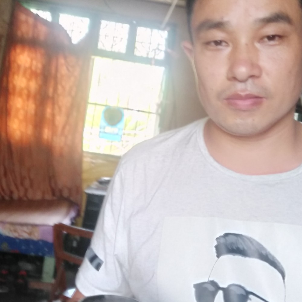 孝顺冬日的照片