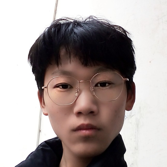 正直回眸大雁的照片
