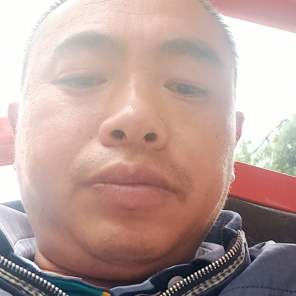 和谐演变蜗牛的照片