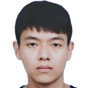 不是很聪明的鸭子的照片