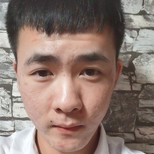 窗枝猫的照片