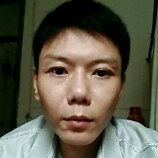 苗条那龙猫的照片