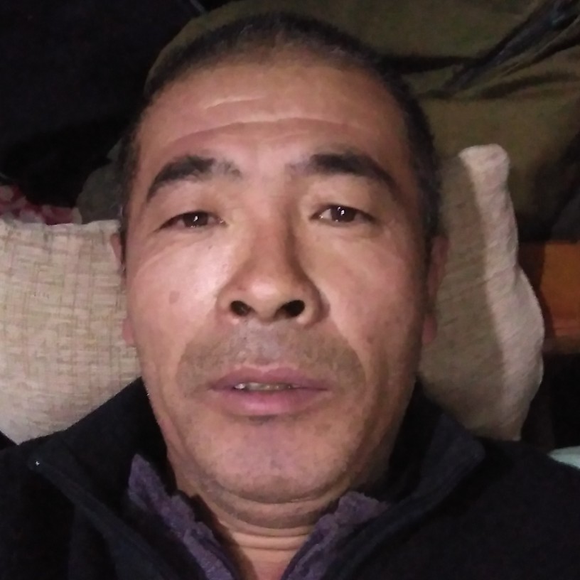 感动汽车的照片