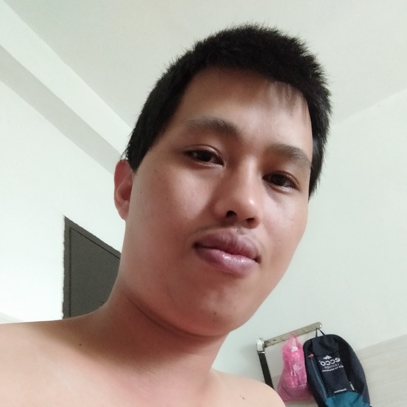 精明演变铅笔的照片