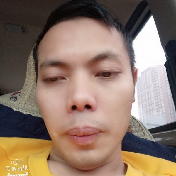 大象贪玩的照片