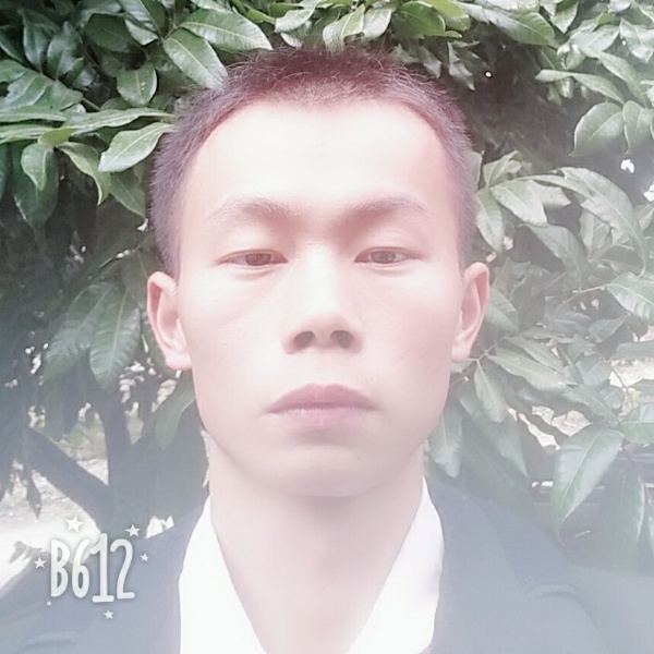在路上巡找爱情的照片