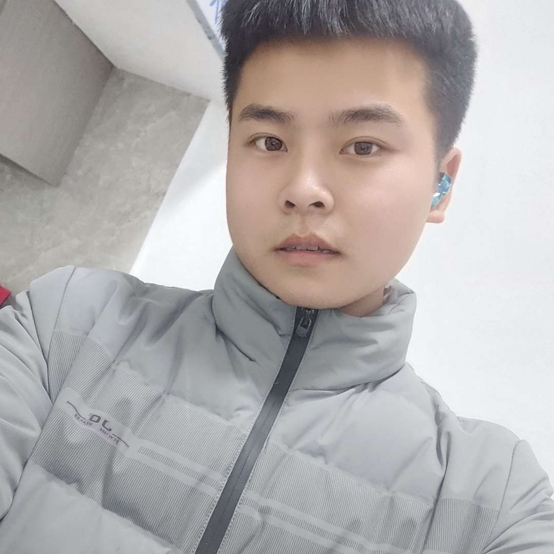 失眠向狗的照片