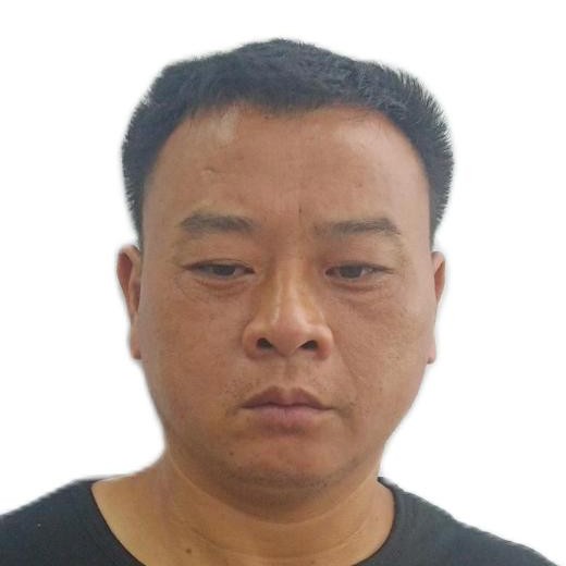 大雁等于温暖的照片