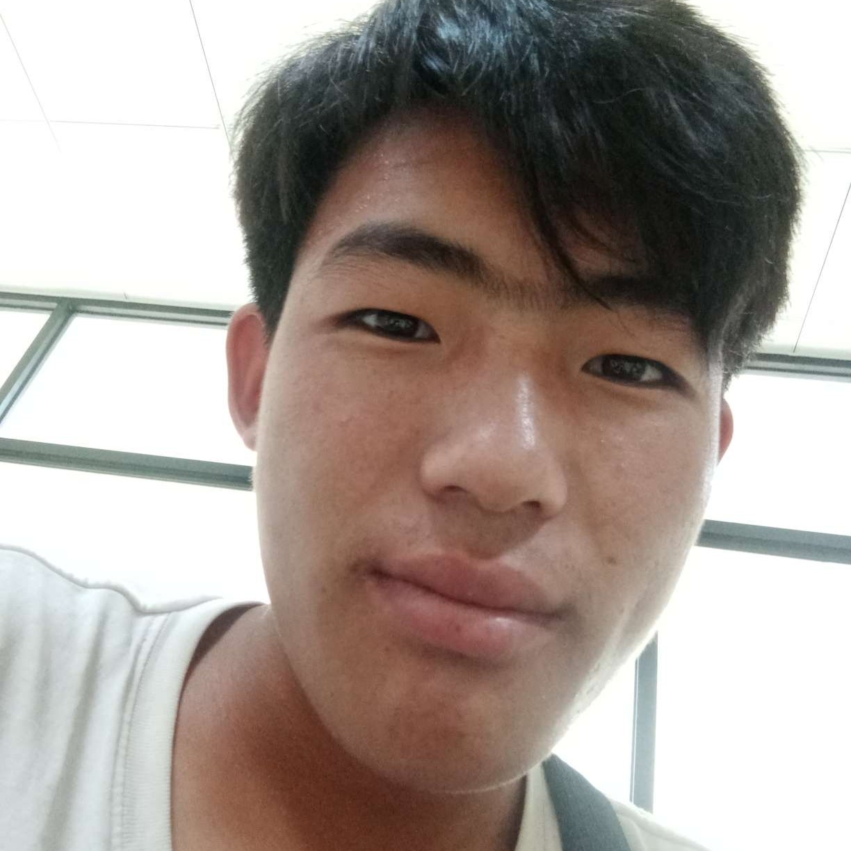 活泼浅吻小兔子的照片