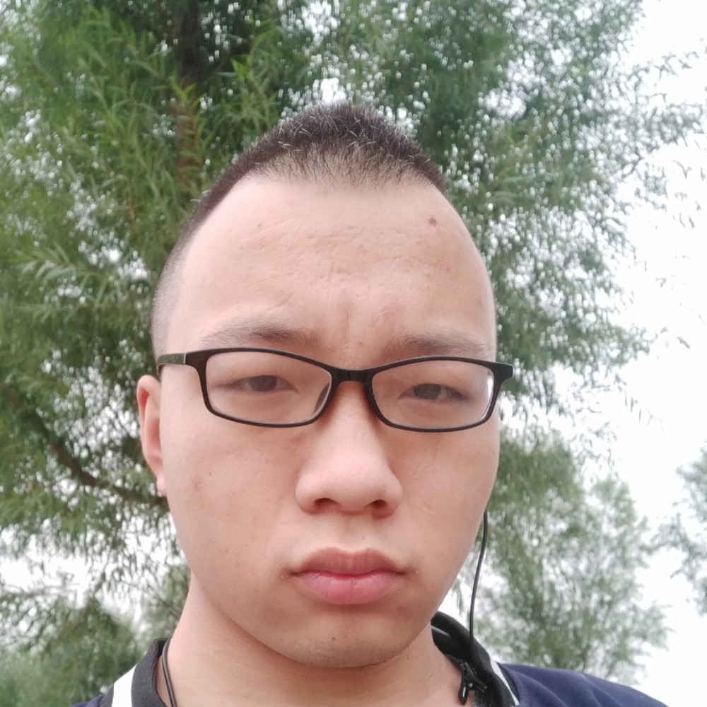枕头的贪玩的照片